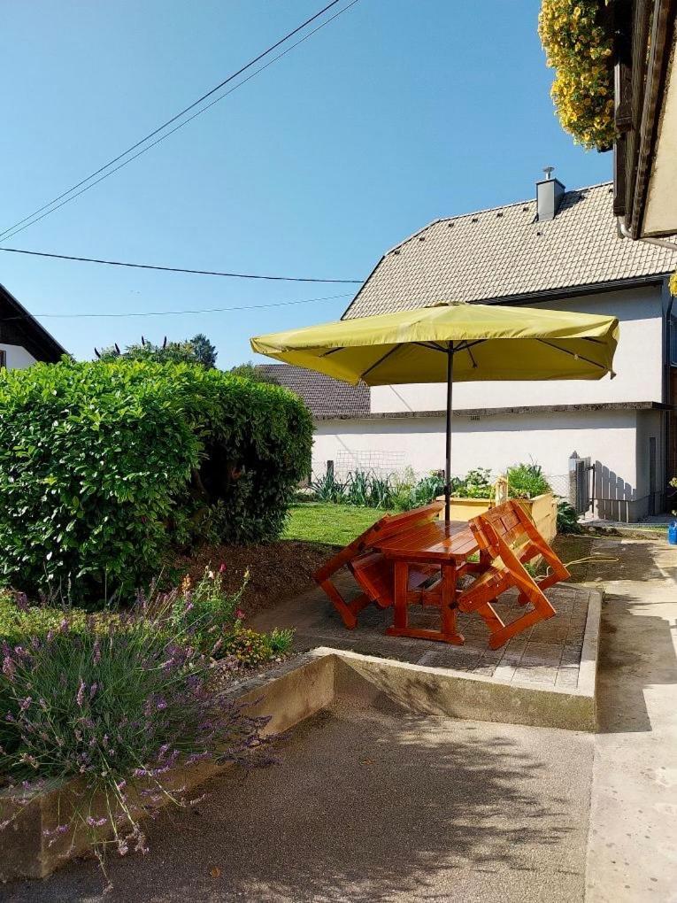 Apartma Jana Zirovnica Zewnętrze zdjęcie